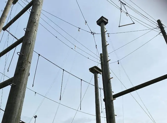 旅馆 Backpackers Hostel 班多伦